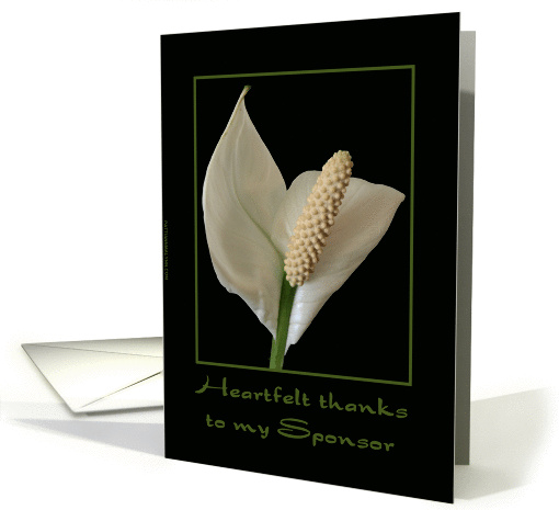 Thank You to my Sponsor - Peace Plant card (696472)