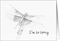 I’m so sorry - Dragonfly Drawing - Customizable Card Front Text card
