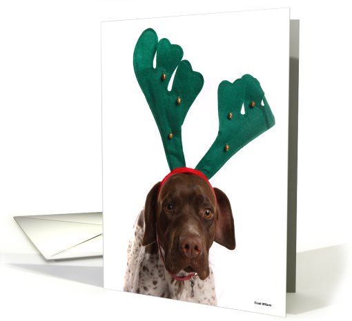 Have you seen Santa? card (114084)