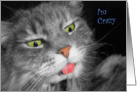 Crazy About You Cross-Eyed Cat Humorous and Romantic Card