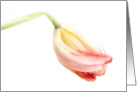Beautiful Pastel Tulip Bud Happy Easter Card