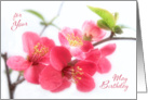 Beautiful Deep Pink Japonica Blossoms for May Birthday Card