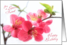 Beautiful Deep Pink Japonica Blossoms for a Special Friend Birthday Card