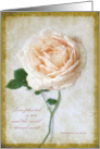 Beautiful Vintage Rose with Love Quote Wedding Congratulations Card