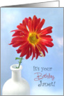 Gerbera forJanet 2014 card