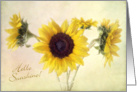 Hello Sunshine Thank You for Your Kindness Sunflowers Card
