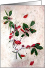 Red Berries Christmas Card