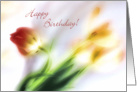 Impressionist Pastel Tulips Birthday Card