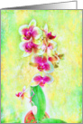 Impressionist Orchid Stll Life Blank Card in Green and Fuchia card