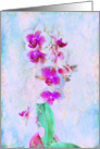 Impressionist Orchids Blank Card in Fuchia and Blue card
