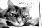 Missing You Bored Gray Cat Card