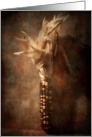 Indian Corn Still Life Blank Inside Card