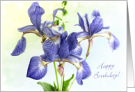 Happy Birthday with Japanese Blue Irises Card