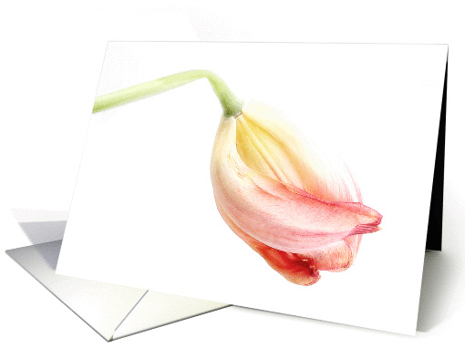 Beautiful Pastel Tulip Bud Happy Easter card (1032983)