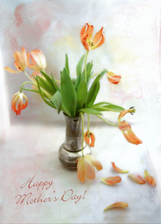 Tulips Still Life...