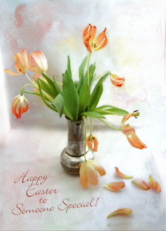Tulips Still Life...
