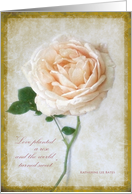 Beautiful Vintage Rose with Love Quote Wedding Congratulations Card