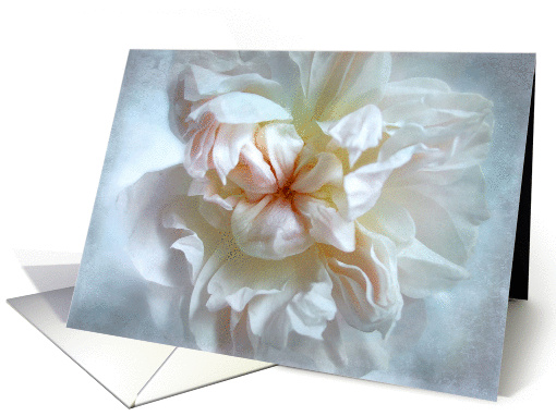 Beautiful Pale Pink Rose Blank card (1282364)