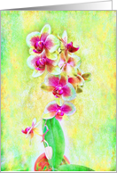 Impressionist Orchid...
