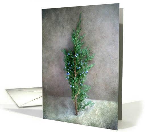 Evergreen Bough with Blue Berries Seasons Greetings card (995515)