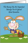 Jelly Beans Humor Great Grandson Card