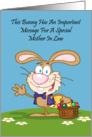 Jelly Beans Humor Mother In Law Easter Card