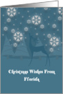 Florida Reindeer Snowflakes Christmas Card