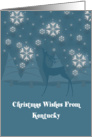 Kentucky Reindeer Snowflakes Christmas Card