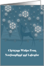 Newfoundland Labrador Reindeer Snowflakes Christmas Card