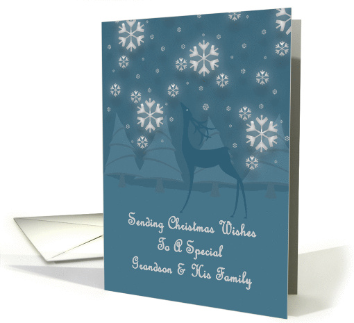 Grandson & His Family Reindeer Snowflakes Christmas card (1253672)
