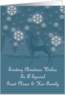 Great Niece & Her Family Reindeer Snowflakes Christmas card
