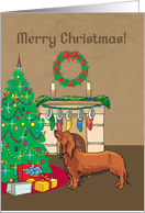 Christmas Tree Doxie Christmas Card