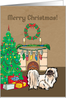 Christmas Tree Pekingese Christmas Card