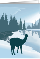 Scenic Alpaca card