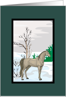 Scenic Arabian Horse Christmas Card