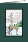 Scenic Arabian Horse Christmas Card