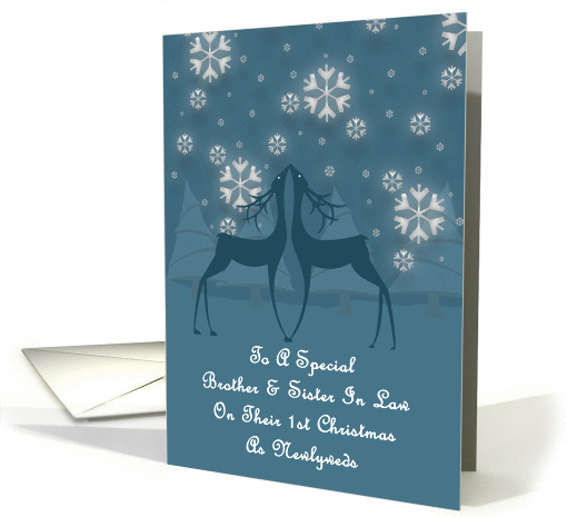 Brother And Sister In Law Reindeer Snowflakes 1st Christmas card