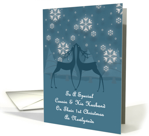 Cousin And His Husband Reindeer Snowflakes 1st Christmas card