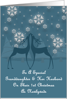 Granddaughter And Her Husband Reindeer Snowflakes 1st Christmas Card