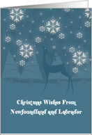 Newfoundland Labrador Reindeer Snowflakes Christmas Card