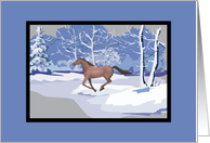 Scenic Winter Mustang Horse Christmas Cards