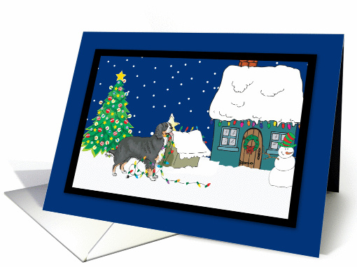 Christmas Lights Bernese Mountain Dog Christmas card (251417)