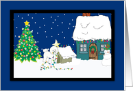 Christmas Lights Bichon Frise Christmas Card