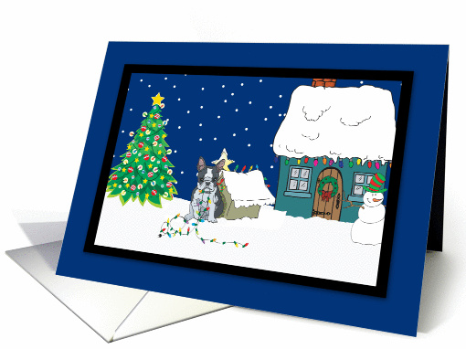Christmas Lights Boston Terrier Christmas card (251437)