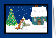 Christmas Lights Collie Christmas Card