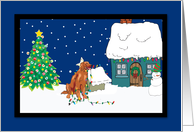 Christmas Lights Irish Setter Christmas Card