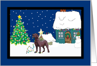 Christmas Lights Chocolate Lab Christmas Card