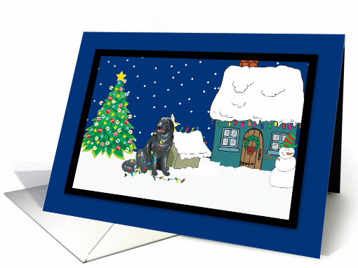 Christmas Lights Newfoundland Christmas card (252010)