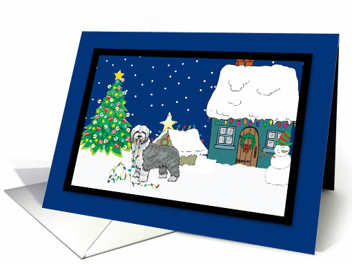 Christmas Lights Sheepdog Christmas card (252024)