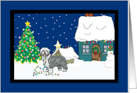 Christmas Lights Sheepdog Christmas Card